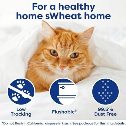 sWheat Scoop Triple Action Natural Wheat Cat Litter Odor Guard Technology, 3X Stronger Clumping, Super Absorbtion, 99.5% Dust Free Performance, 28 Pounds