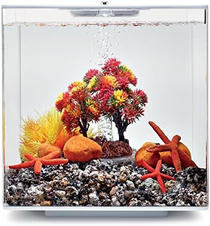 biOrb Autumn Décor Set, Orange and Red, Themed Collection of Fish Friendly Aquarium Decorations