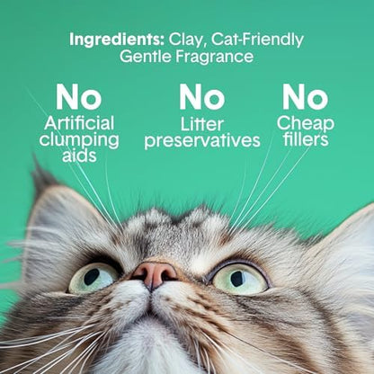 Boxie Premium Scented Clumping Cat Litter 30+ Day Odor Control 28 lb