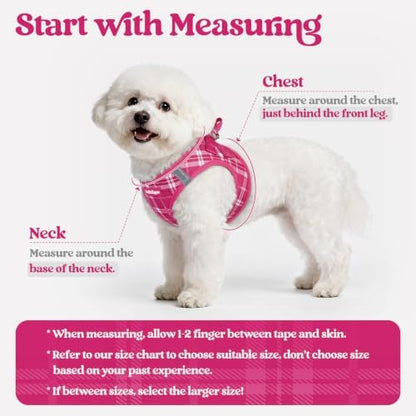rabbitgoo Dog Harness Medium Sized and Leash Set, Step-in Puppy Pet Vest