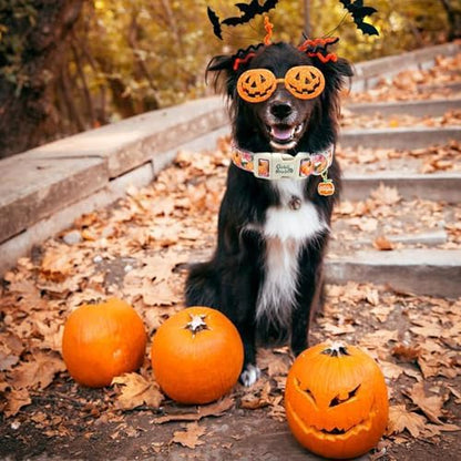 Fall Pink Flower Pumpkin Print Dog Collar for X-Small Dogs