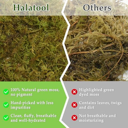 Halatool 9 OZ Sphagnum Moss for Reptiles - Green Terrarium Moss
