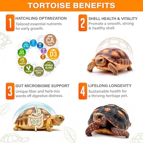 Gargeer 3oz Tortoise Juvenile Growth Support Supplement | Made in USA