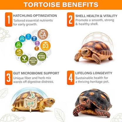 Gargeer 3oz Tortoise Juvenile Growth Support Supplement | Made in USA