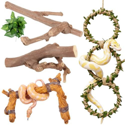 Layhit 5 Pcs Snake Climbing Branch Ring Reptile Wood Trunk Tank Decor Reptile Climbing Habitat Accessory for Terrarium Tree Trunk Ornament Gecko Frog Chameleon Spider