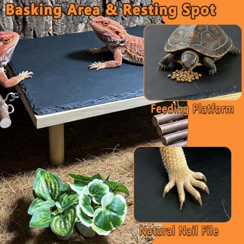 Bearded Dragon Basking Platform with Climbing Ramp,Reptile Basking Rock,XXL