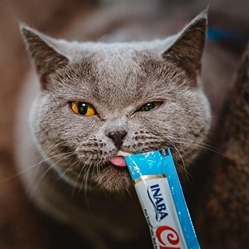 INABA Churu Cat Treats, Lickable, Squeezable Creamy Purée Cat Treat with Green Tea Extract & Taurine, 0.5 Ounces Each Tube, 24 Tubes (4 per Pack), Chicken with Scallop Recipe