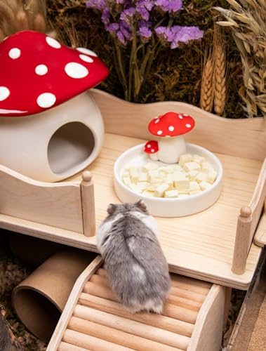 Niteangel Hamster Feeding & Food Bowls: Mushroom Ceramics & Chew-Resistant