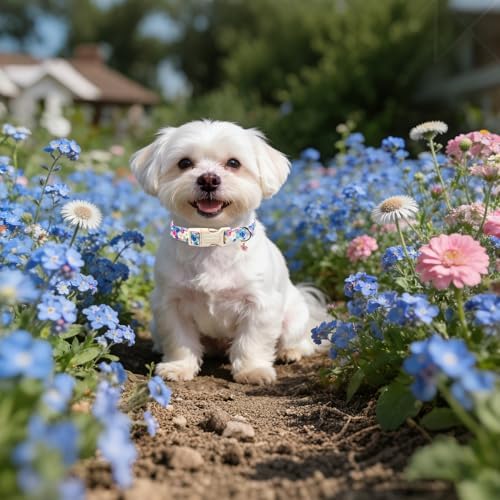 Lionet Paws Floral Dog Collar- Cute Spring Wildflowers Daisy Forget Me Not Dog Collars with Plastic Buckle, Light Adjustable Dog Collars for Small Medium Dogs