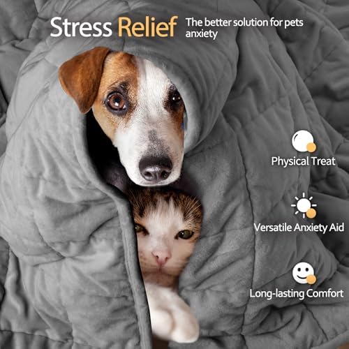 LaSyL Weighted Blanket for Pets | Thunder Blanket for Dogs Anxiety | Premium Soft Minky | Relaxation & Calming & Anti Anxiety | Used in Car, Bed, Couch | Dark Grey, Washable Large (40"x47")
