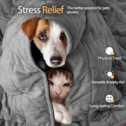 LaSyL Weighted Blanket for Pets | Thunder Blanket for Dogs Anxiety | Premium Soft Minky | Relaxation & Calming & Anti Anxiety | Used in Car, Bed, Couch | Dark Grey, Washable Large (40"x47")