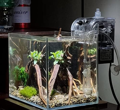 AWXZOM Small Nano Rimless Tank, Clear Glass Fish Tank, 1.1 Gallon, 7.8x5.5x5.9inch/20x14x15cm, Betta Fish Tank