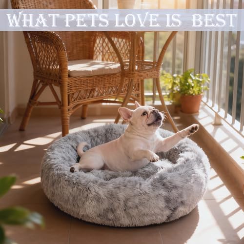 Washable Calming Dog & Cat Bed for Ultra Large Small Medium Size Pet