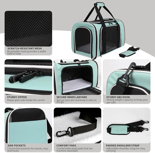 Cat Dog Carriers Soft-Sided, Pet Travel Carrier for Small Cats Dogs Under to15lbs, Soft-Solid Collapsible Carrier,(Medium,Green)