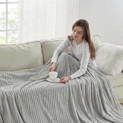 Nestl Light Grey Throw Blanket for Couch - Cozy Warm Fuzzy Blankets for Women, Set of 2 Small Fleece Throws for Girls - Silver, 50 x 60 Inches