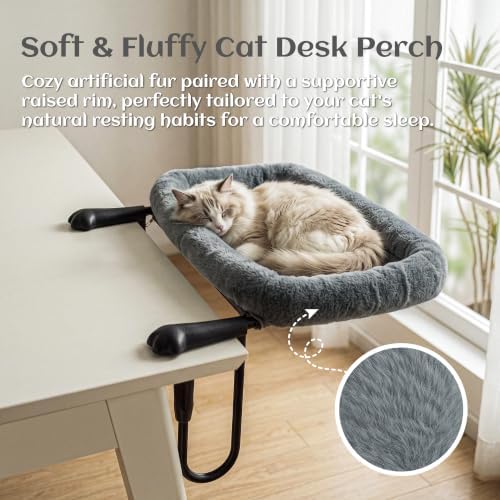 X-Large Cat Desk Bed for Cats 50lbs Extra-Sturdy & Heavy Duty
