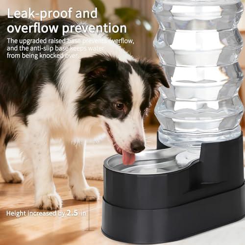 RIZZARI 9L Elevated Dog Water Dispenser: Large Stainless Steel Bowl