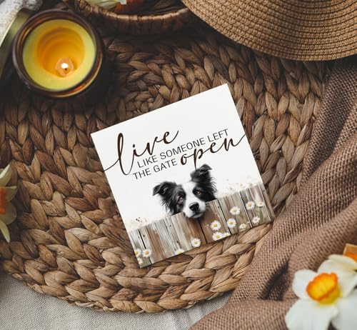 Live like Someone Left the Gate Open Border Collie Wooden Signs,Farm Cottagecore Animal Office Kitchen Bedroom Decor,Rustic Farmhouse Home Decor Signs,Border Collie Gifts for Women