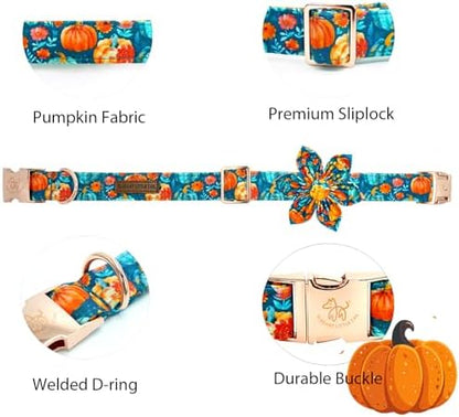 Elegant little tail Fall Dog Collar, Halloween Pet Collars with Flower Cute Pumpkin Print Puppy Collar Female or Male Cotton Adjustable Collars for Small Medium Large Dogs