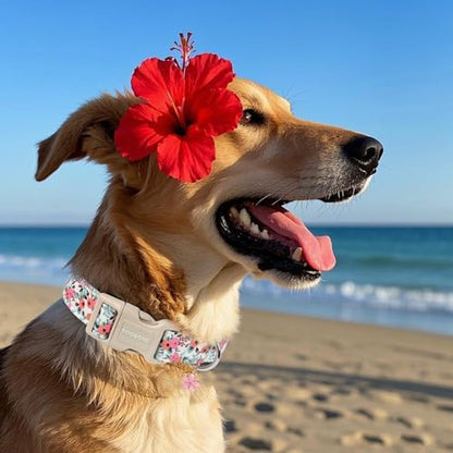 DOGWONG Pink Flower Girl Dog Collar for Small Medium Large Dogs XL