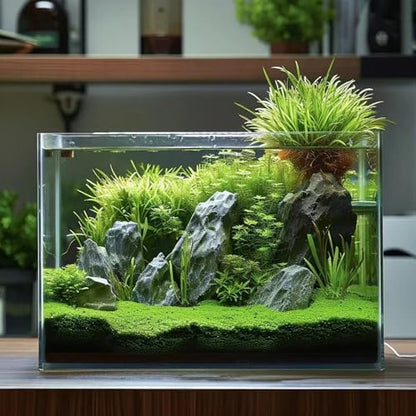 Vimvins 3 Gallon Glass Fish Tank, Easy to Maintain Small Aquarium for Betta/Goldfish/Snails/Shrimp and Aquatic Planting.