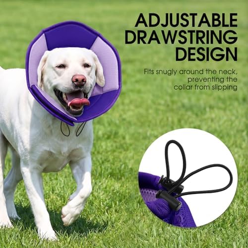 Dog Cone Soft Cone for Dogs to Stop Licking