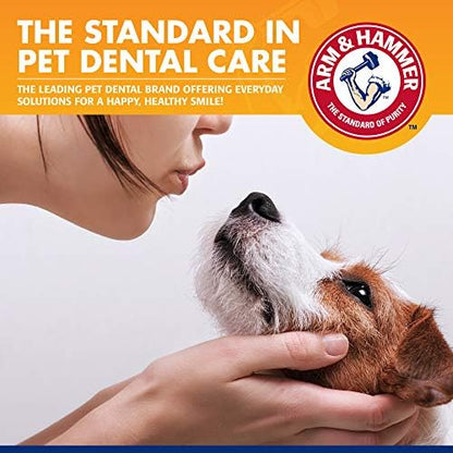 Arm & Hammer Tartar Control Enzymatic Dog Toothpaste, Beef Flavor, 2.5 Oz