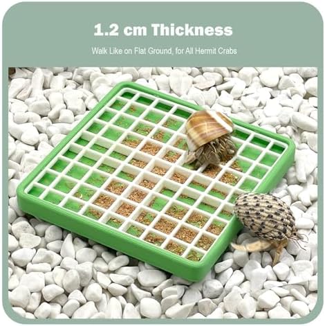 Hermit Crab Food Dish for Powdered Food, with Removable Anti-Carry Grid, No Mess Feeding Dish Prevents Food from Being Dragged Away (Dark Green, 3.9" x 3.9")