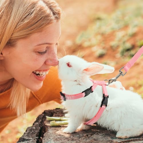 Outus 5 Pieces Adjustable Rabbit Harness and Leash Set, Fresh Color