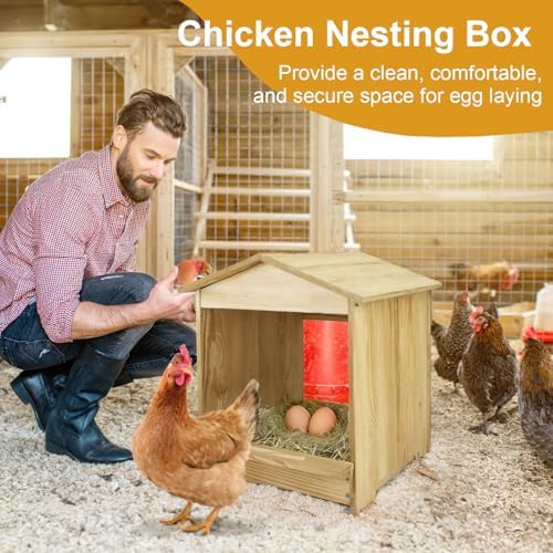 Chicken Nesting Box 2 Compartments - Wall Mount Wooden Egg Laying Nest Box for Chicken Coop, Easy to Assemble & Versatile Use for Hens, Ducks, Chickens