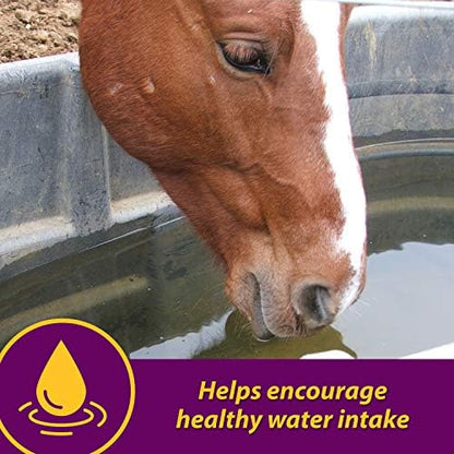 Farnam Horse Health Apple-Dex Apple Flavored Electrolytes Powder for Horses, 5 pound