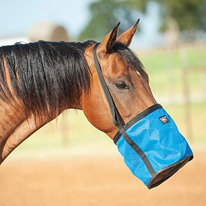 CASHEL Company Feed Rite Bag Horse Blue, (FRB-BL)