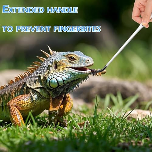 4-Piece Reptile Feeding Tongs Set with Silicone Tips & Feeding Spoons