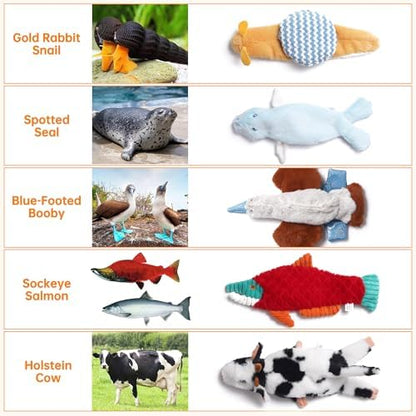 Nocciola Squeaky Dog Toys, 5-Pack Crinkle Plush Toys, No Stuffing Dog Toys for Small Medium Large Dogs, Boredom Relief