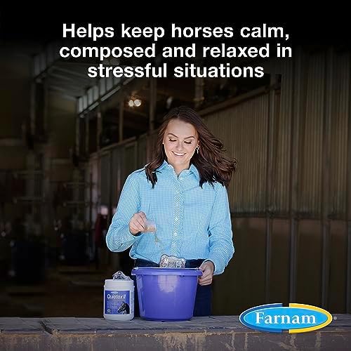 Farnam Quietex II Horse Calming Supplement Pellets, Helps Manage Nervous Behavior and Keep Horses Calm & Composed in Stressful Situations, 1.625 Lbs, 26 Day Supply (Pack of 6)