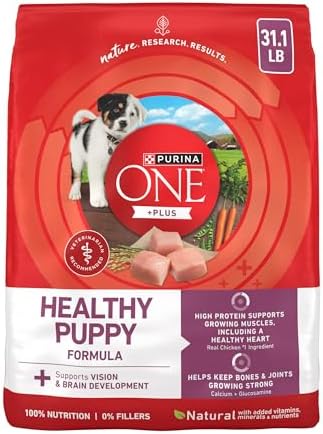 Purina ONE Plus Healthy Puppy Dry Food, Chicken, 31.1 lb Bag