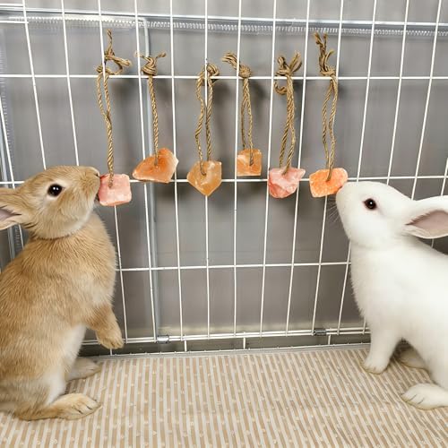 Hamiledyi 16 PCS Rabbit Salt Lick Block Natural Small Animal Himalayan Salt Lick Chew Toys with Hanging Rope Rat Mineral Block Chew Treat Supplies for Bunny Guinea Pig Chinchilla Ferret Hametsr