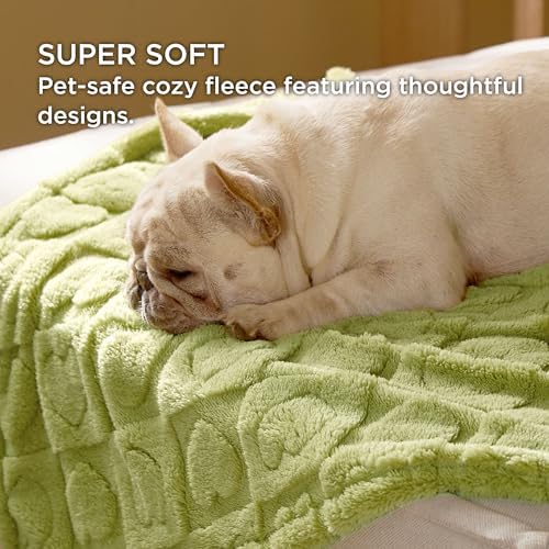 Bedsure Dog Blanket for Small Dogs Puppy and Cats, Soft Fleece, 25x35 Green