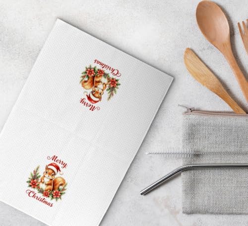 Merry Christmas Squirrel Kitchen Dish Towels Dishcloth 16x24 Inches