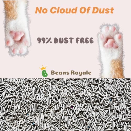 2pcs Pack (6L x 2) Tofu Cat Litter, Clumping Kitty Litter, Flushable,Pea Fiber,Dust Free, Odor Control, Low Tracking, Lightweight (Carbon Mixed)
