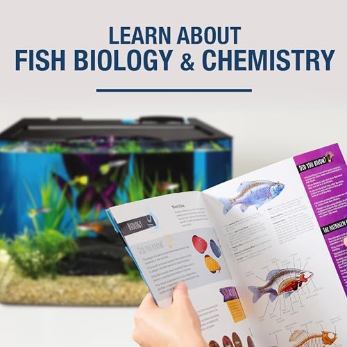 Tetra STEM 3 Gallon Fish Tank Kit with Activities for the Classroom or Home