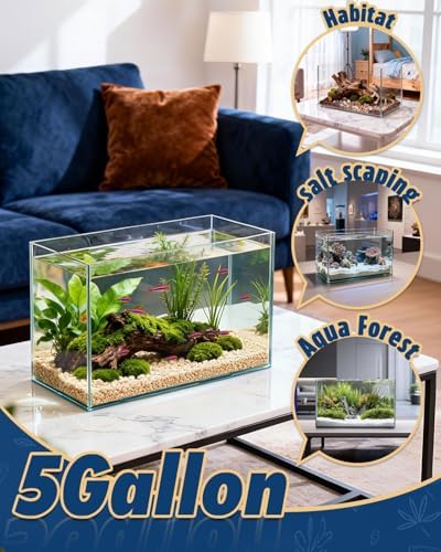 5 Gallon Rimless Glass Fish Tank, Ultra-Clear Aquarium for Betta Fish