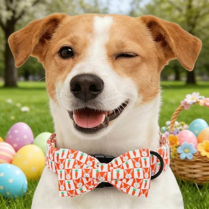 Dog Collars, Easter Carrot Rabbit Print Cotton Collar Holiday Adjustable Light Plastic Buckle Collar with Bow Pet Collar Gift for Medium Dogs