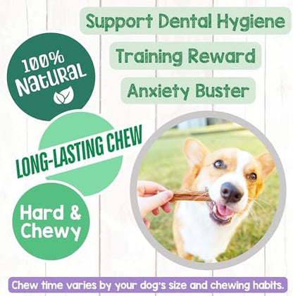 Nature Gnaws Thin Bully Sticks 5-6" Rawhide Free Dog Chews, 8 oz