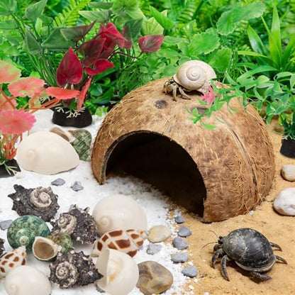 SINKOO 19PCS Hermit Crab Habitat Kit | Natural Coconut Shell Hut & Assorted Seashells with Plants | Climbing Hideout & Decor for Hermit Crabs | Home Aquarium Tank Accessories