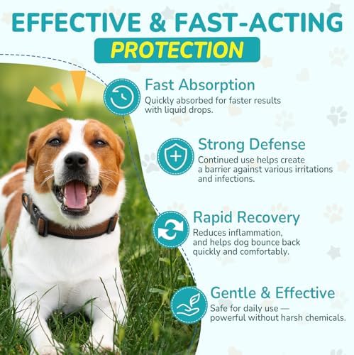 Woyamay Antibiotics for Dogs, Natural Dog Antibiotics for Allergy Relief