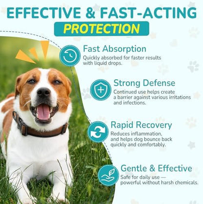 Woyamay Antibiotics for Dogs, Natural Dog Antibiotics for Allergy Relief