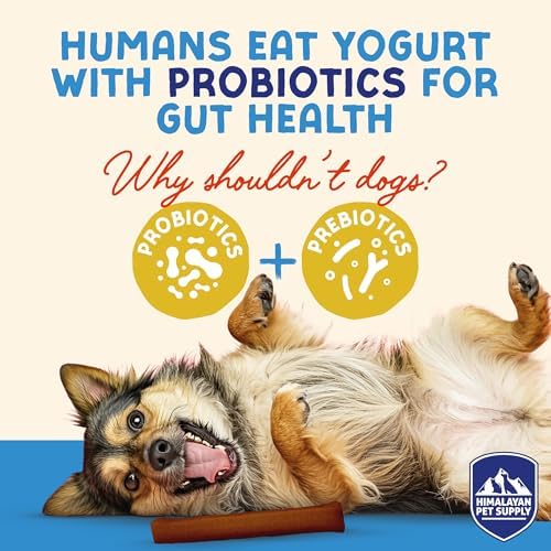 Himalayan Dog Chew Yogurt Sticks, Probiotic Dog Treats, Pumpkin, 5 Treats