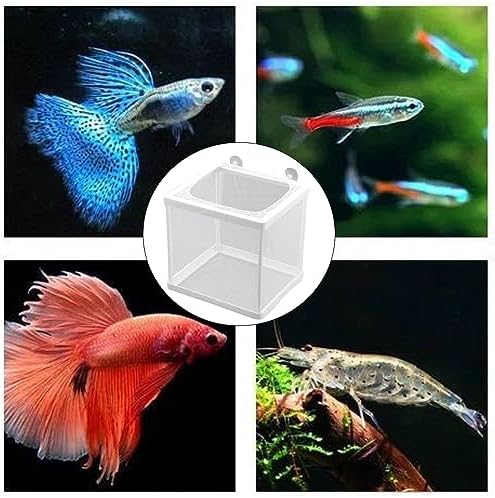 MY MIRONEY 6.3" x 5.63" x 6.22" Fish Incubator Mesh Box Pack of 2