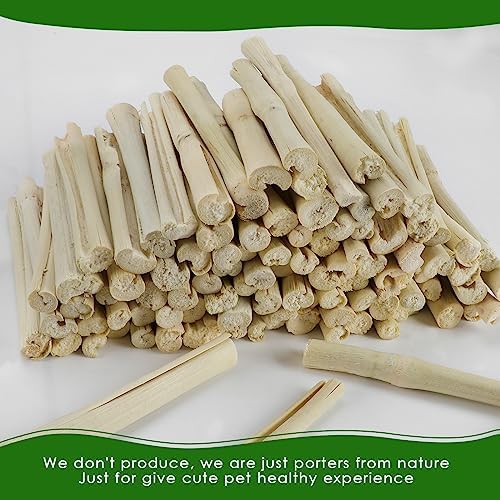 BWOGUE 1000g Bamboo Chews for Rabbits, Rabbit Chew Toys Sweet Bamboo Sticks